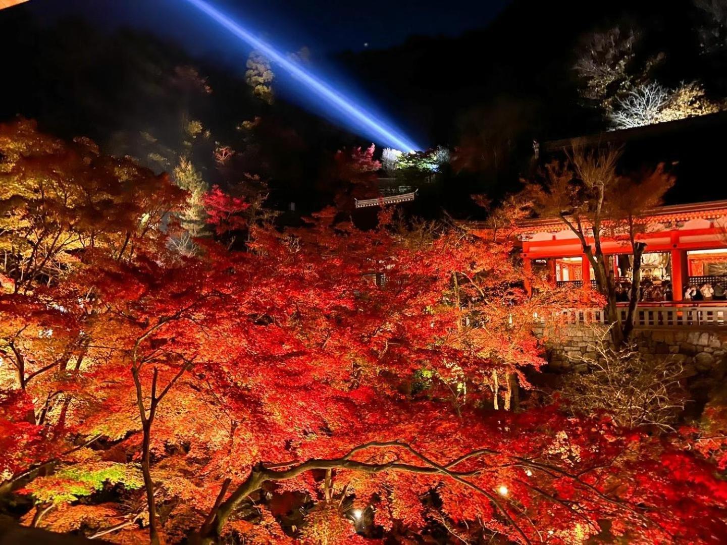 Rinn Gion Shirakawa Kioto Exterior foto
